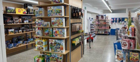 Bâtiment à Waidhofen an der Ybbs, Austria 612m² No. 184811 4