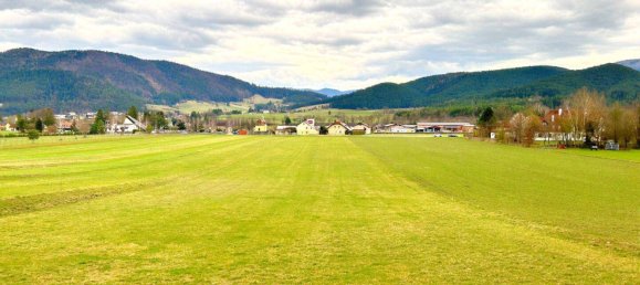  Land in Pernitz, Austria No. 15261 4