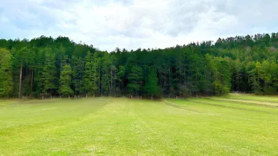  Land in Pernitz, Austria No. 15261