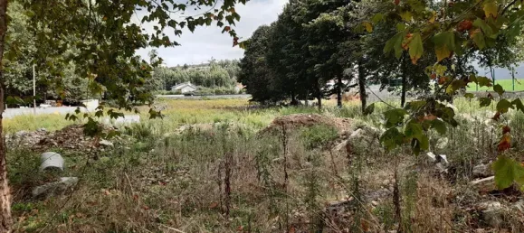 Земельный участок 5318м² в Оливейра ди Аземейш, Португалия № 84801 2