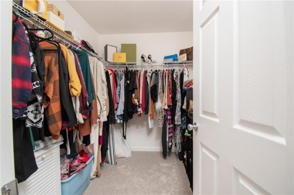 4 bedrooms House in Palm Bay, USA No. 391241