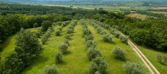 6 غرف نوم منزل في Città della Pieve, Italy رقم 54321 68