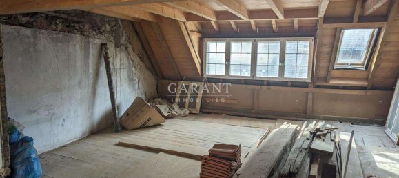 7 Schlafzimmer Gebäude in Waldshut, Germany, Nr. 953 11