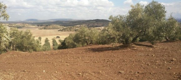 Casa T8 em Antequera, Spain N.º 45074 6