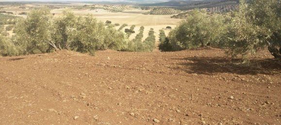 Casa T8 em Antequera, Spain N.º 45074 11