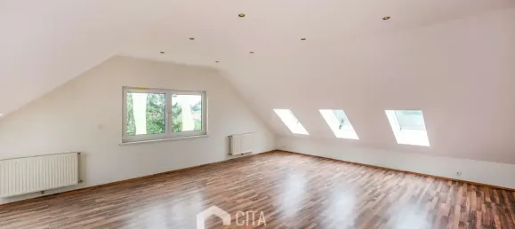 8 chambres Villa à Alzey-Worms, Germany No. 202412 32