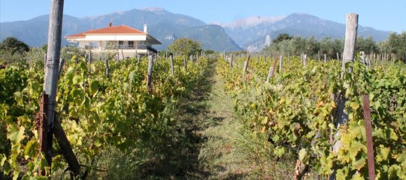 4 bedrooms Villa in Litochoro, Greece No. 6553 16