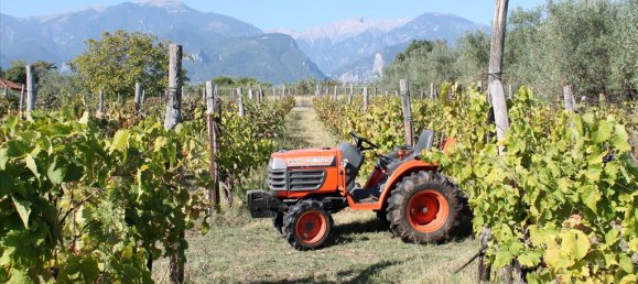 4 bedrooms Villa in Litochoro, Greece No. 6553 19