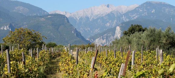 4 bedrooms Villa in Litochoro, Greece No. 6553 17