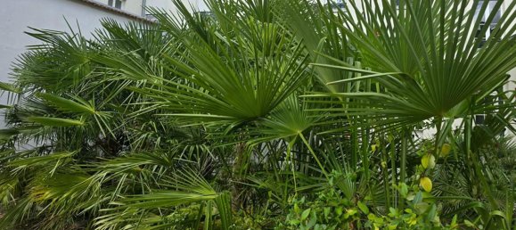 2 bedrooms Apartment in Vichy, France No. 341922 7