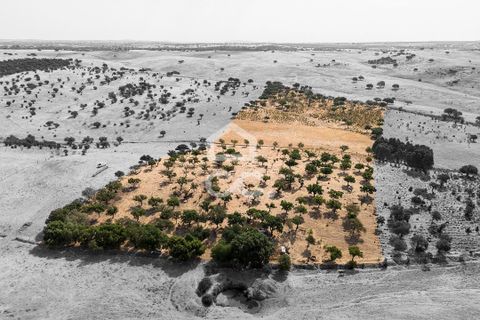  Land in Reguengos de Monsaraz, Portugal No. 310205