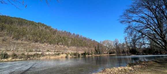 3غرفة بنغالو في Seebenstein, Austria رقم 70105 17