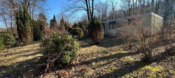 3غرفة بنغالو في Seebenstein, Austria رقم 70105 2