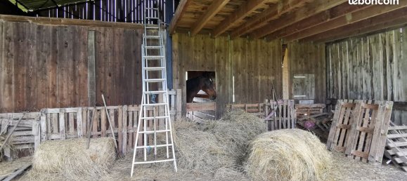 5 chambres Maison à Château-la-Vallière, France No. 89361 7