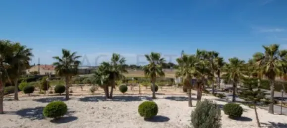 3 غرف نوم فيلا في Alicante, Spain رقم 190541 14