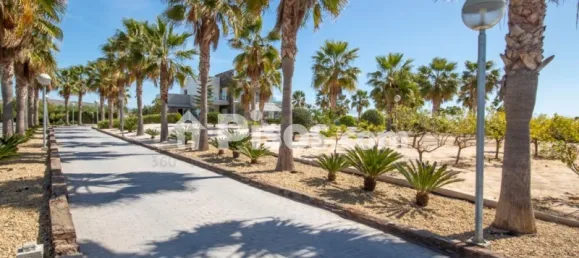 3 غرف نوم فيلا في Alicante, Spain رقم 190541 24