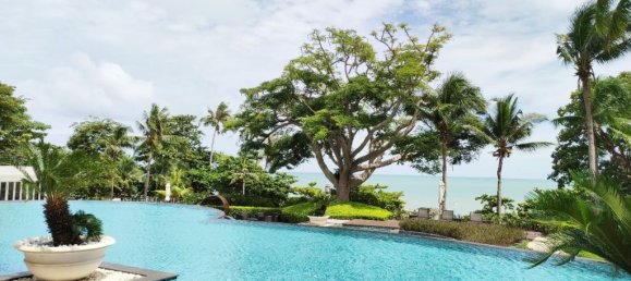 1 bedroom Condo in Pattaya, Thailand No. 12106 10