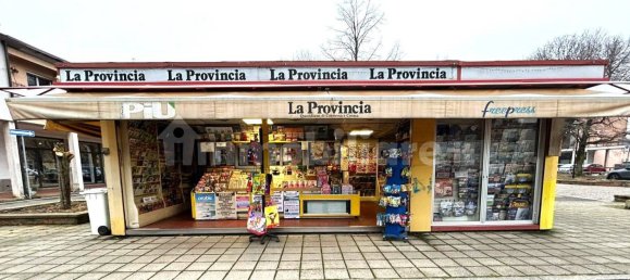 1-Zimmer Gewerbliche Immobilie in Crema, Italy, Nr. 299107 9