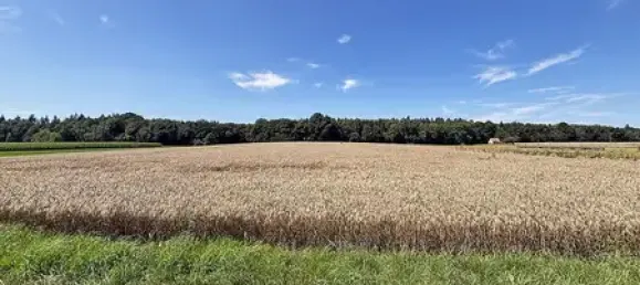 Quinta de 8 divisões em Neckar-Odenwald-Kreis, Germany N.º 365651 4