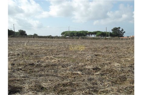 Grundstück in Sintra, Portugal 50000m², Nr. 64014