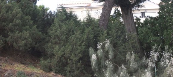 1 Schlafzimmer Wohnung in Grandola, Portugal, Nr. 119935 9