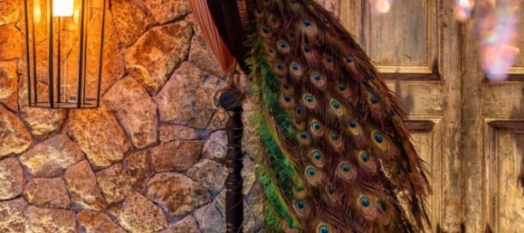 Квартира с 2 комнатами в Паттайя, Таиланд № 66792 8