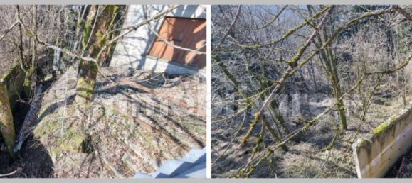 4 bedrooms Apartment in Florence, Italy No. 312259 13