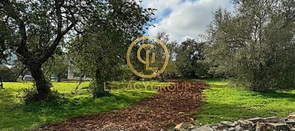 Terrain à Sao Bras de Alportel, Portugal 2432m² No. 35264 15