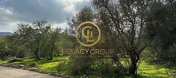 Terrain à Sao Bras de Alportel, Portugal 2432m² No. 35264 17