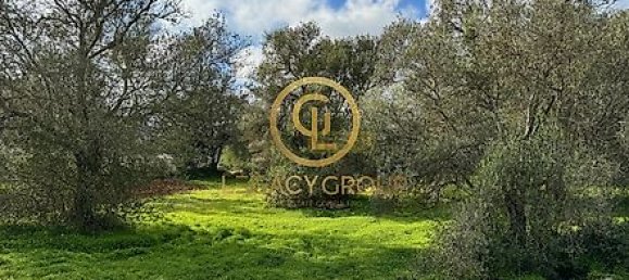 Terrain à Sao Bras de Alportel, Portugal 2432m² No. 35264 16