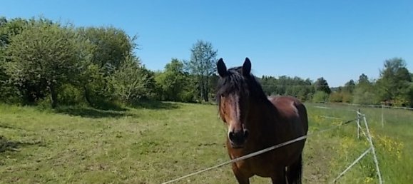 Terreno en Wetteraukreis, Germany No. 67214 5