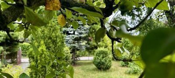 3 rooms House in Prenzlauer Berg, Germany No. 229879 3