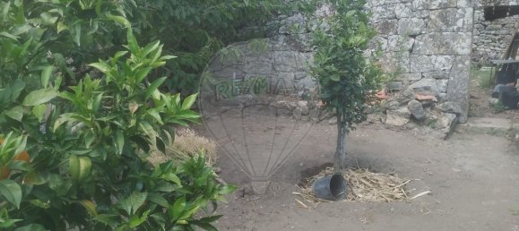 2 Schlafzimmer Haus in Seixo de Ansiaes, Portugal, Nr. 166059 13