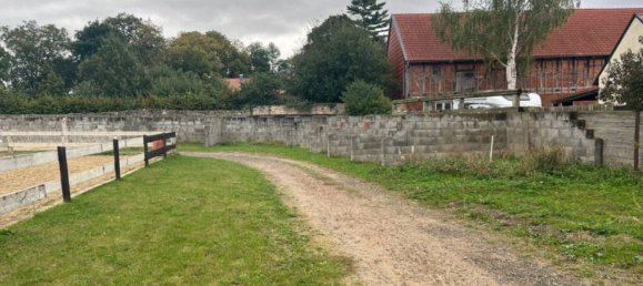 1 room Commercial property in Wolfenbuttel, Germany No. 205021 4