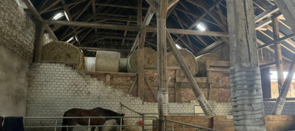 1 room Commercial property in Wolfenbuttel, Germany No. 205021 13