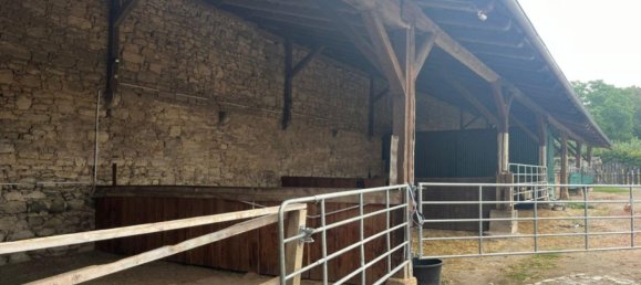 1 room Commercial property in Wolfenbuttel, Germany No. 205021 19