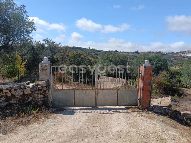  Land in Evora de Alcobaca, Portugal No. 306647