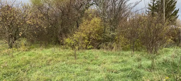 Terreno en Traiskirchen, Austria 3135 m² No. 226419 5