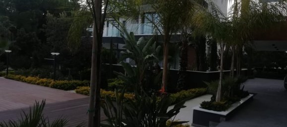 1 bedroom Apartment in Limassol, Cyprus No. 31720 5