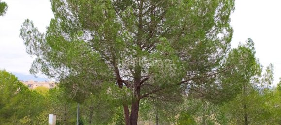  قطعة أرض في Sant Llorenc D'hortons, Spain 443متر مربع رقم 157349 9