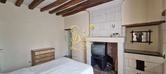 5 bedrooms House in Richelieu, France No. 58821 13