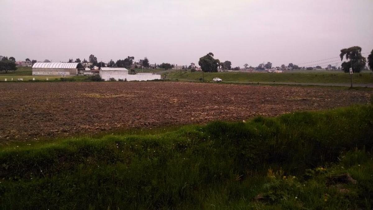  Land in Almoloya de Juarez, Mexico No. 205127