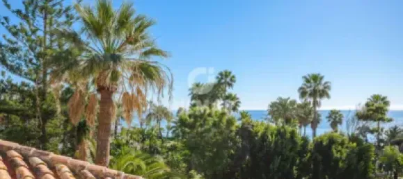 8 bedrooms Villa in Estepona, Spain No. 24238 48
