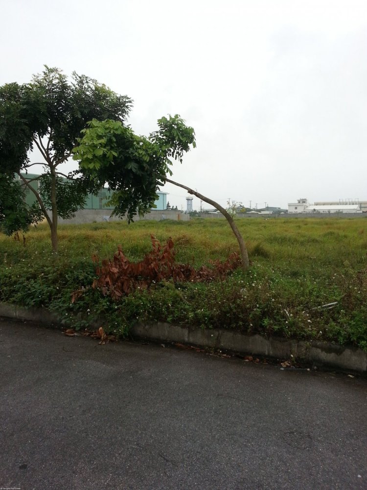  Land in Bac Ninh, Vietnam No. 4905