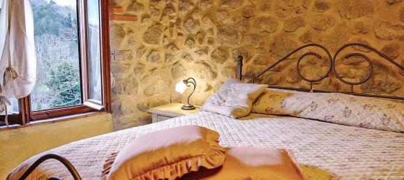 4-salle Maison à Santa Fiora, Italy No. 233576 16