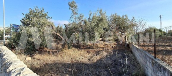 Grundstück in Pozzallo, Italy 600m², Nr. 52058 9