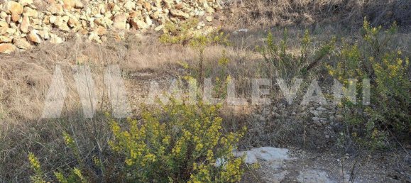 Grundstück in Pozzallo, Italy 600m², Nr. 52058 6