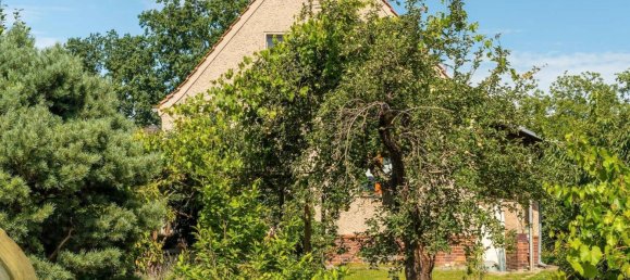 Дом с 3 спальнями в Бранденбург, Германия № 35663 4