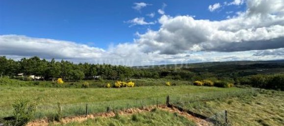 4 غرف نوم فيلا في Chaves, Portugal رقم 150815 7