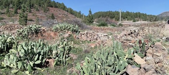 Grundstück in Vilaflor, Spain, Nr. 157775 5